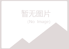 伊春红星雪青建设有限公司